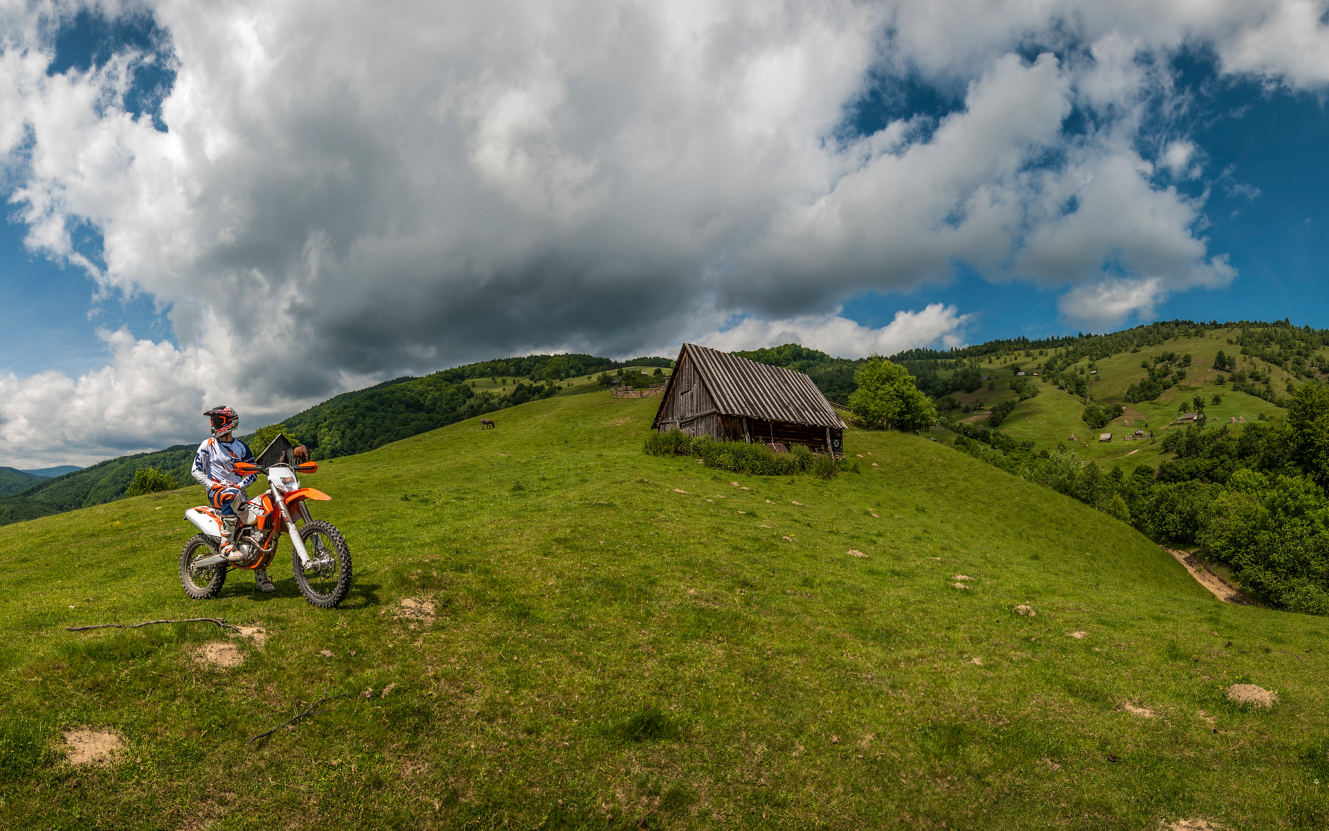 58078_EXC 2015 Action